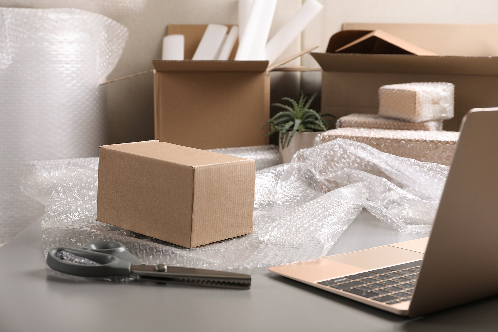 What Packing Materials to Choose for Moving Art Pieces